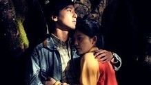王菲《致青春》 電影《致青春》主題曲 沙畫版