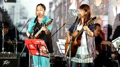 橄欖樹