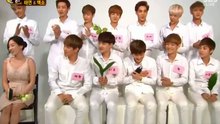 泰妍、EXO節目訪談記錄