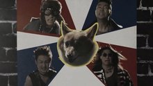Topbob - ????