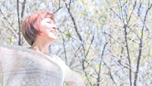 亦帆 - 我能飛 歌詞版
