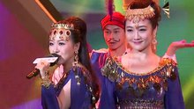 劉蕓杉 & 潘陽 - 波斯貓