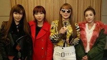 2NE1 - 2NE1北京演唱會30秒問候ID