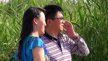 黃蘇英 - 動不動就想你