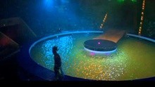 群星 - 俄羅斯國家大馬戲：落幕歌舞