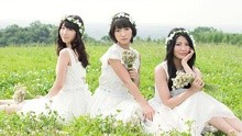 French Kiss - 思い出せない花