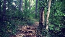 Out Of The Woods 試聽版