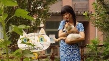龍寬工作室第二次開放日預告