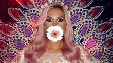 Kesha - Lover 試聽版