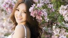柳巖 - 情路透春光