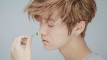 鹿晗 - 甜蜜蜜 預告