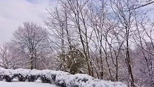 班得瑞 - The First Snowflakes 圖片版