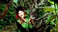  - 樂美奇音-索瑪花開