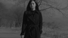 魚缸里的魚