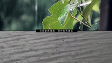高山低谷 歌詞版