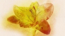 花樣年華 回歸預告