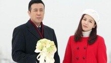 下一站婚姻 主題曲