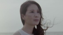 野馬