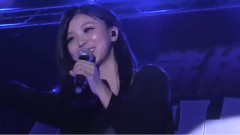 不要不要
