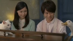Aflac 連彈～青い鳥,みつけた CM