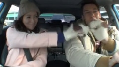 MBC我們結婚了