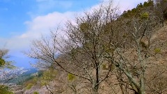 春雪消融的小河邊