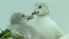 陽光小熊