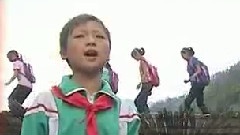 蘭花草