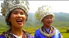 醉苗鄉
