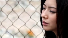 不散不見