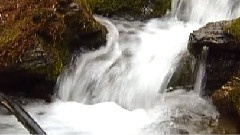 民樂群星 - 花兒納吉