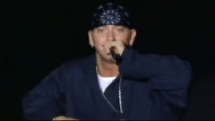 The Real Slim Shady