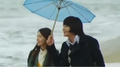 愛情雨