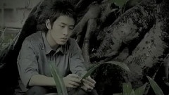 榕樹