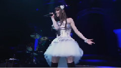 to the beginning 五周年 現場版