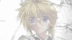 泣櫻