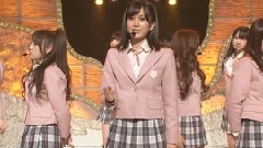 櫻の木になろう & Talk