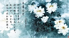 納蘭