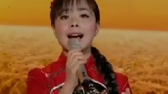 訪問 & 表演
