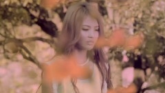 向左看,向右轉