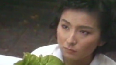 陳淑樺 - 美麗與哀愁
