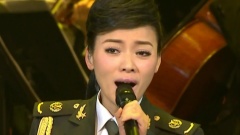 我愛你中國