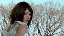 在樹上唱歌 官方版