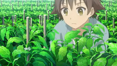 秘密の扉から會いにきて