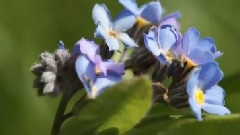 In The Breath Of Life 輕音樂