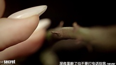 希望拷問