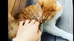 Z-UK的instagram視頻一則