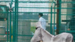 南京祿口機場停機坪