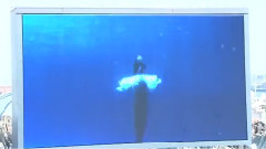 SKE48 x 東海ウォーカー 朹海エリアの魅力に迫る! アルイテラブル! レポート編