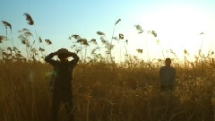 Peppertones - Big Harvest